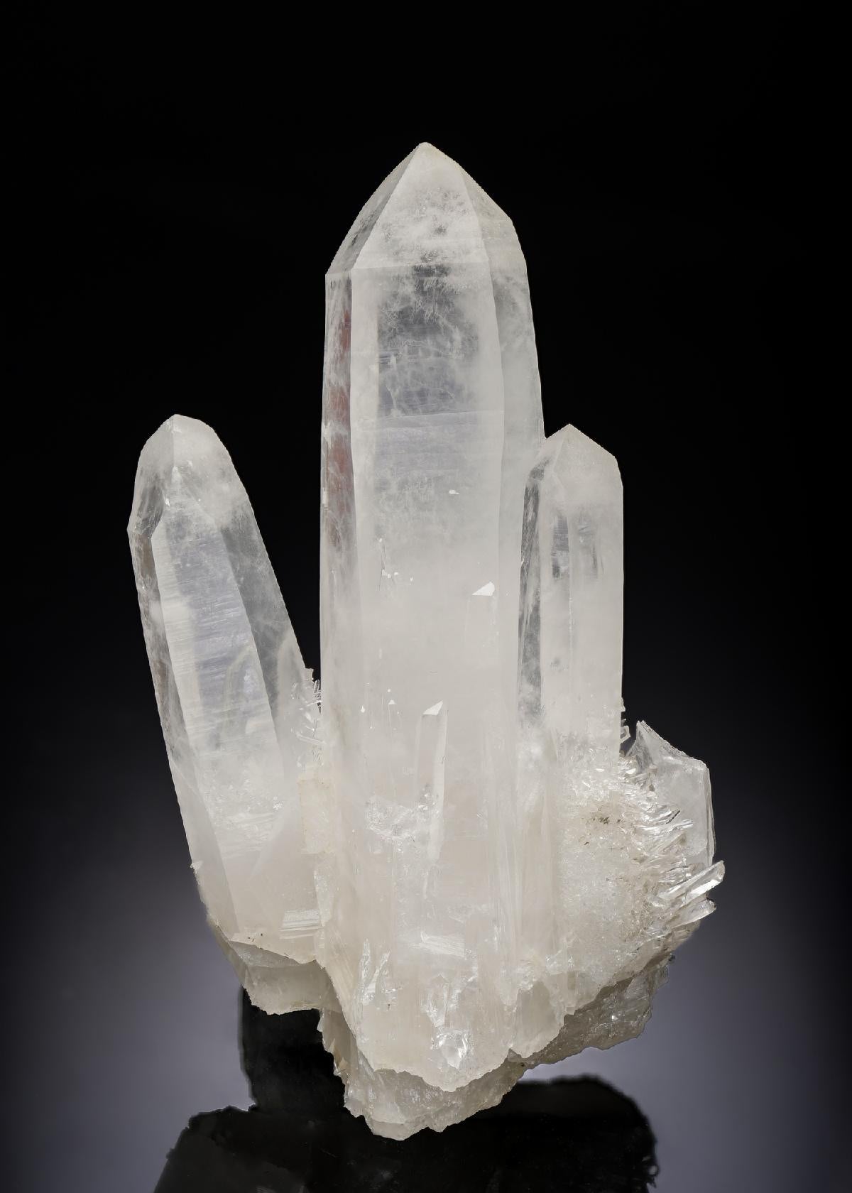 CC29223 specimen image