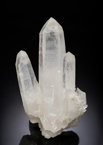CC29223 specimen image