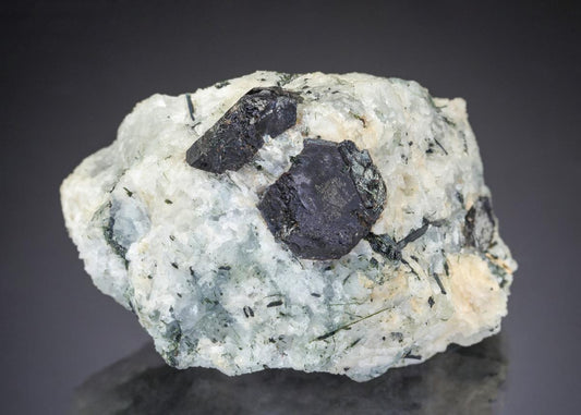 CC29231 specimen image
