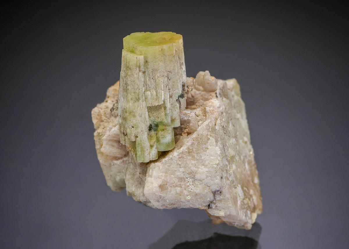 CC29235 specimen image