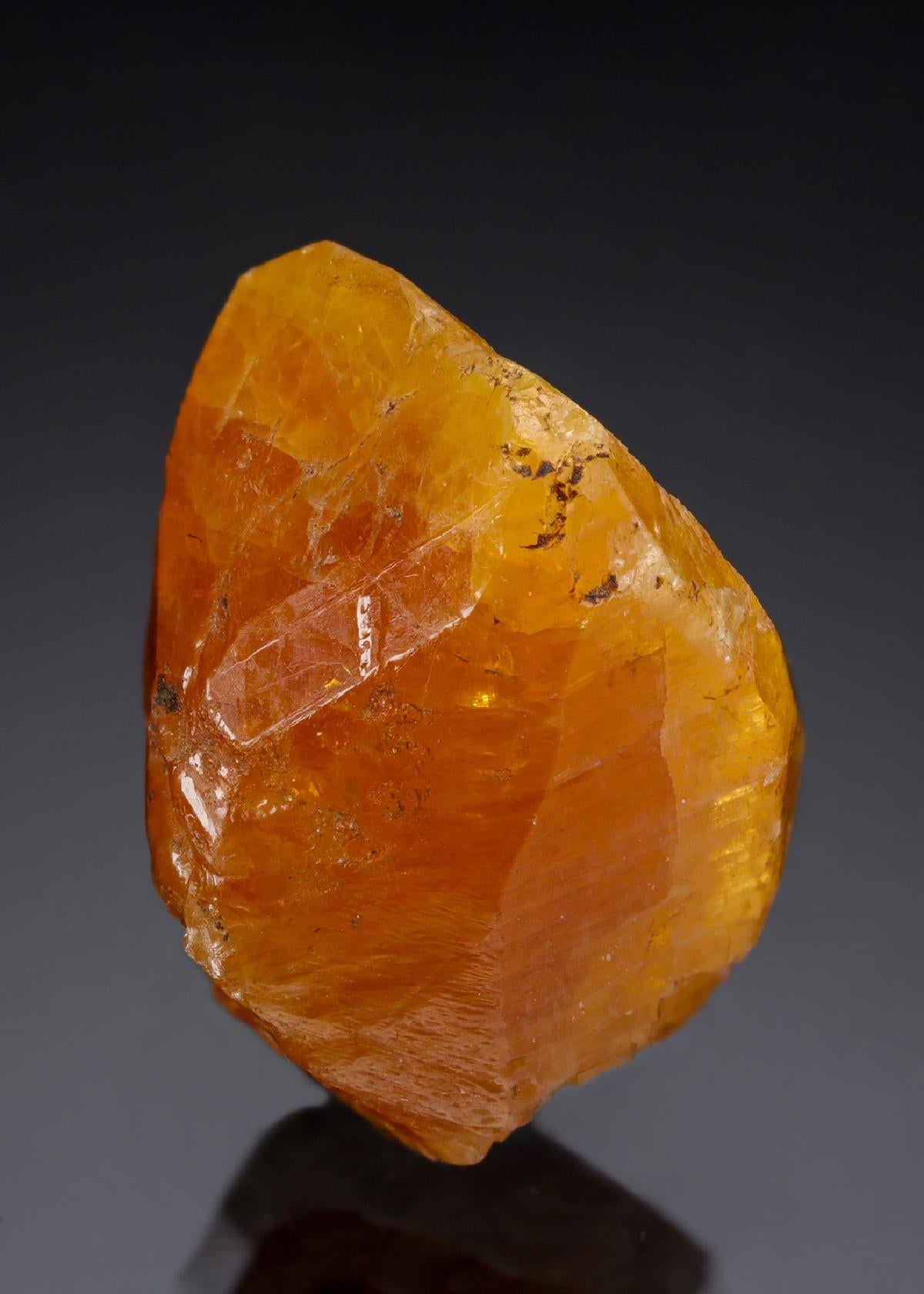 CC29263 specimen image