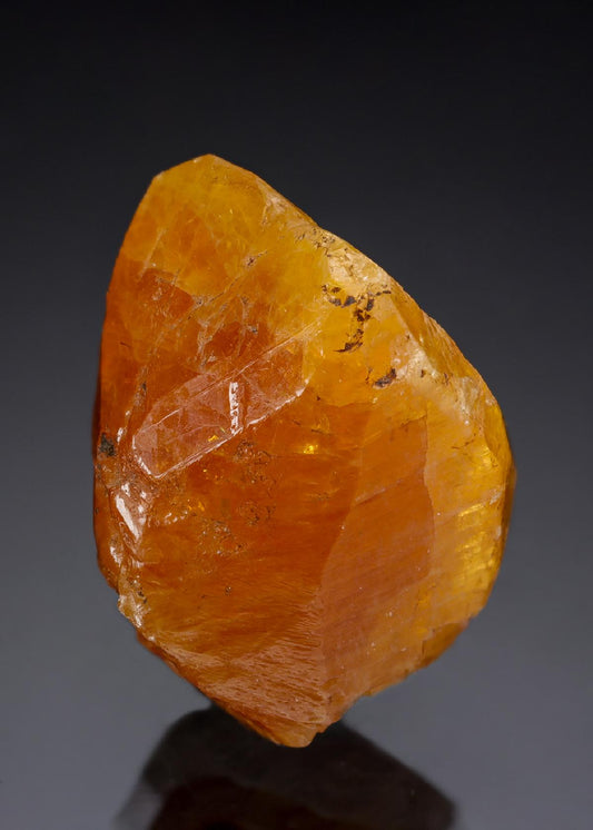 CC29263 specimen image