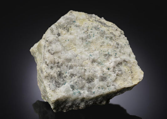 CC29267 specimen image