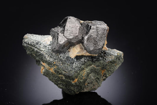CC29281 specimen image