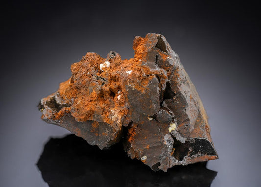 CC29289 specimen image
