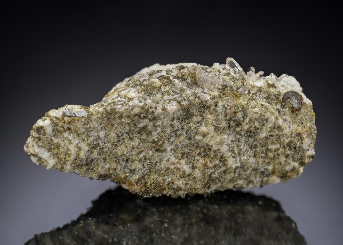 CC29293 specimen image