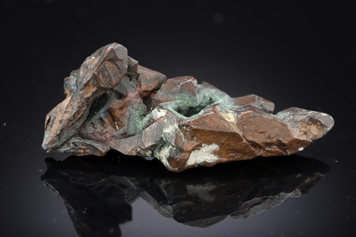 CC29295 specimen image