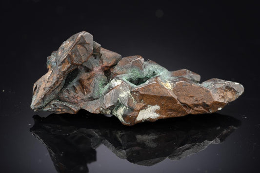 CC29295 specimen image