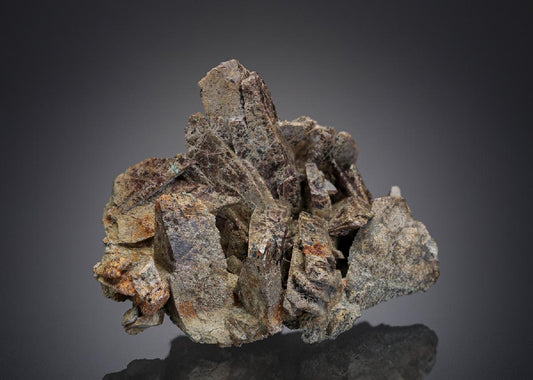 CC29337 specimen image