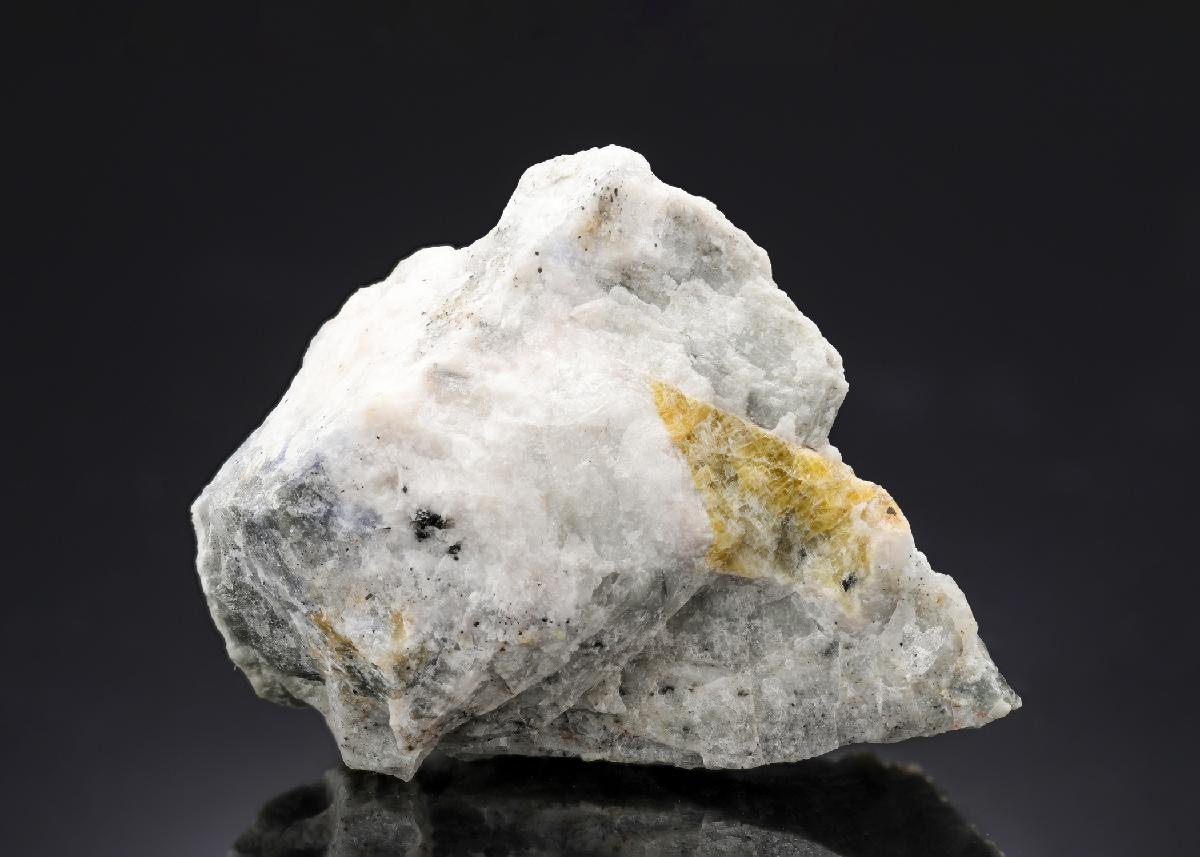 CC29341 specimen image