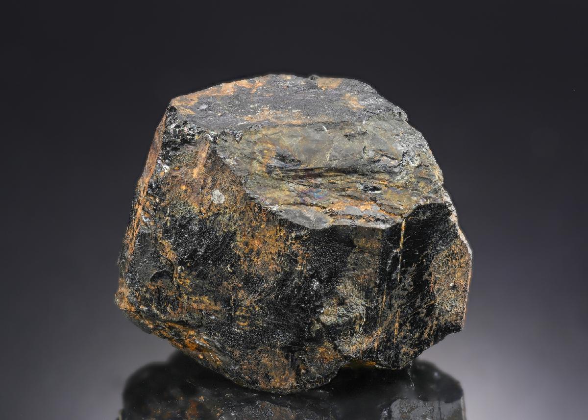 CC29365 specimen image