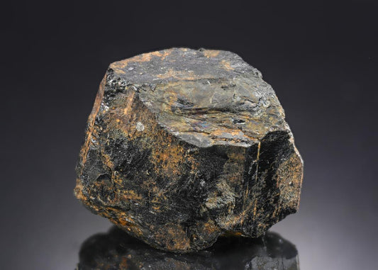 CC29365 specimen image