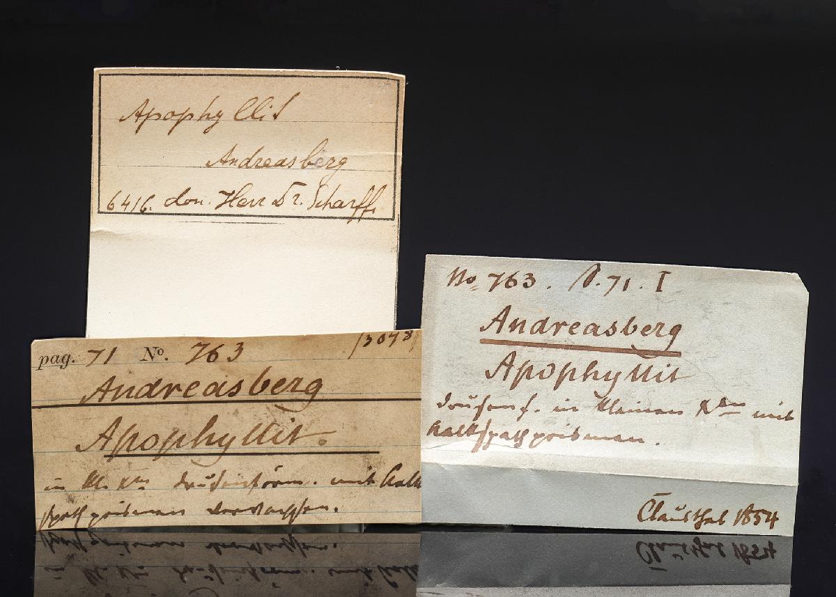 CC29367 specimen image