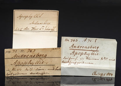 CC29367 specimen image