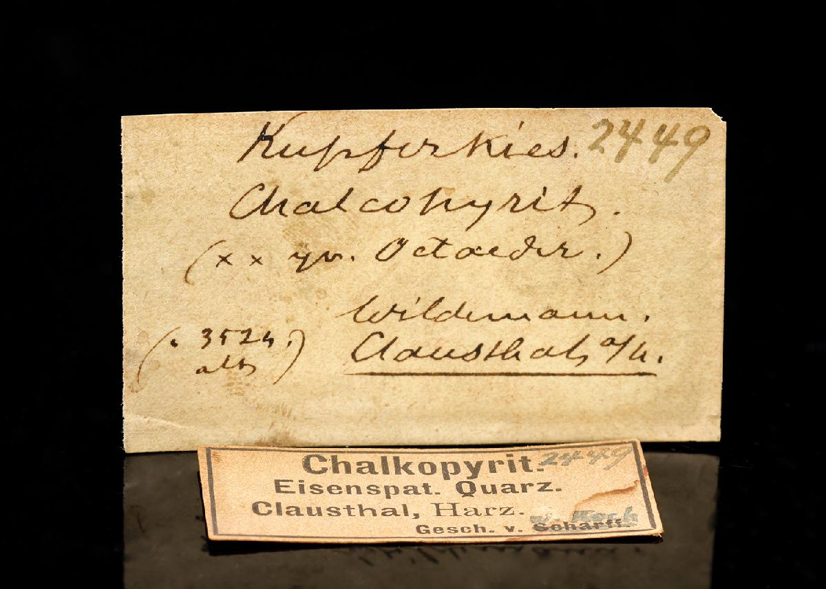 CC29379 specimen image