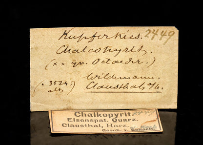 CC29379 specimen image
