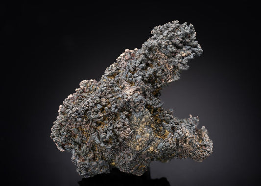CC29381 specimen image