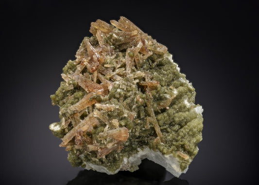CC29383 specimen image