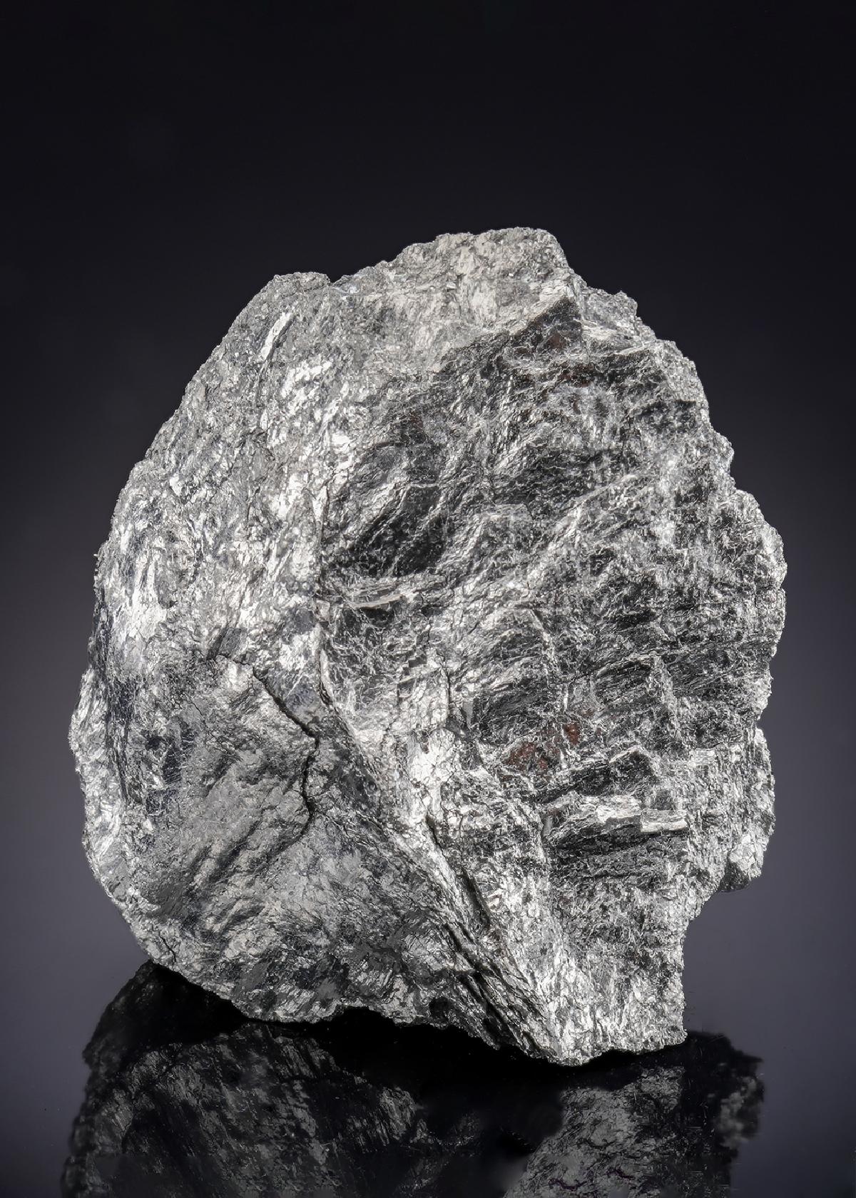 CC29397 specimen image