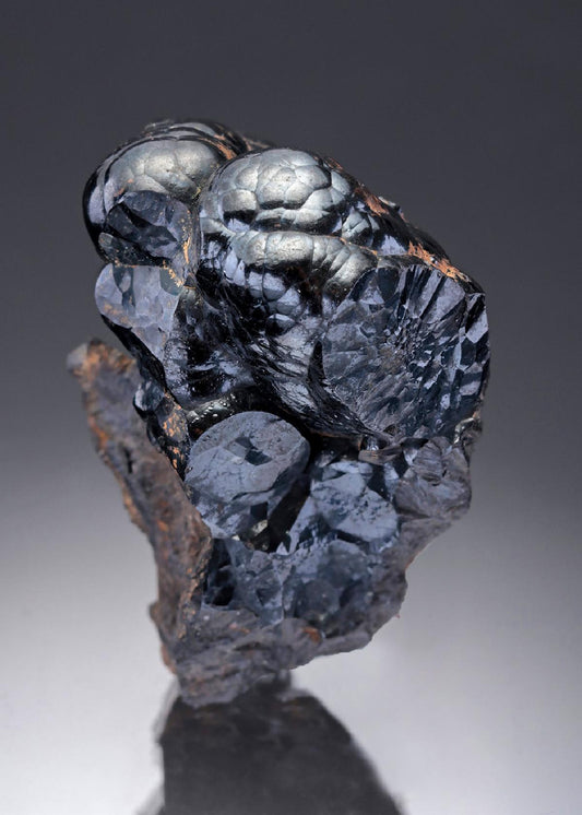 CC29403 specimen image