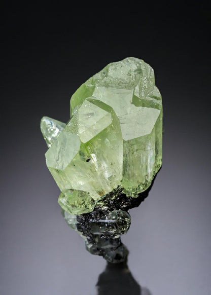 CC29405 specimen image