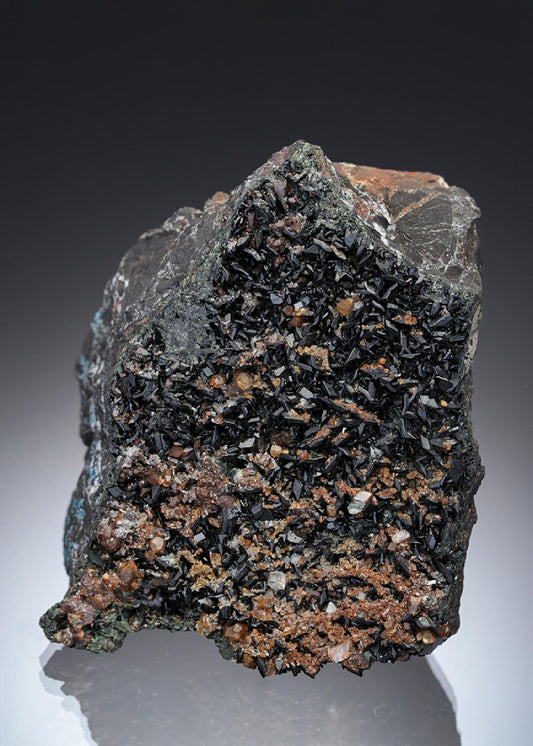 CC29467 specimen image