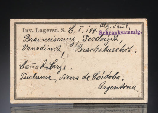 CC29475 specimen image