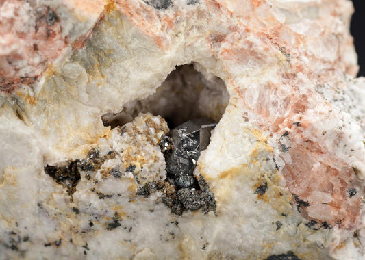 CC29491 specimen image