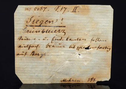 CC29493 specimen image