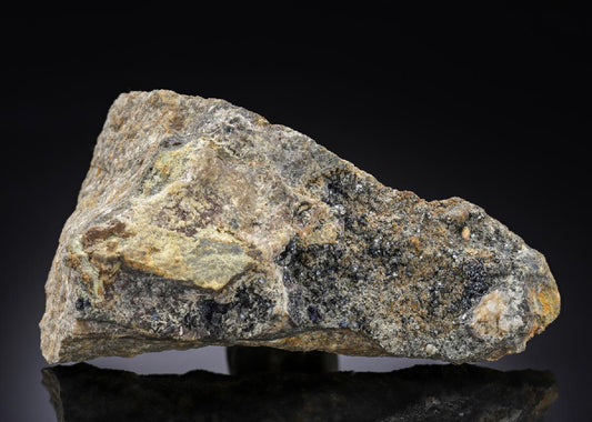 CC29495 specimen image