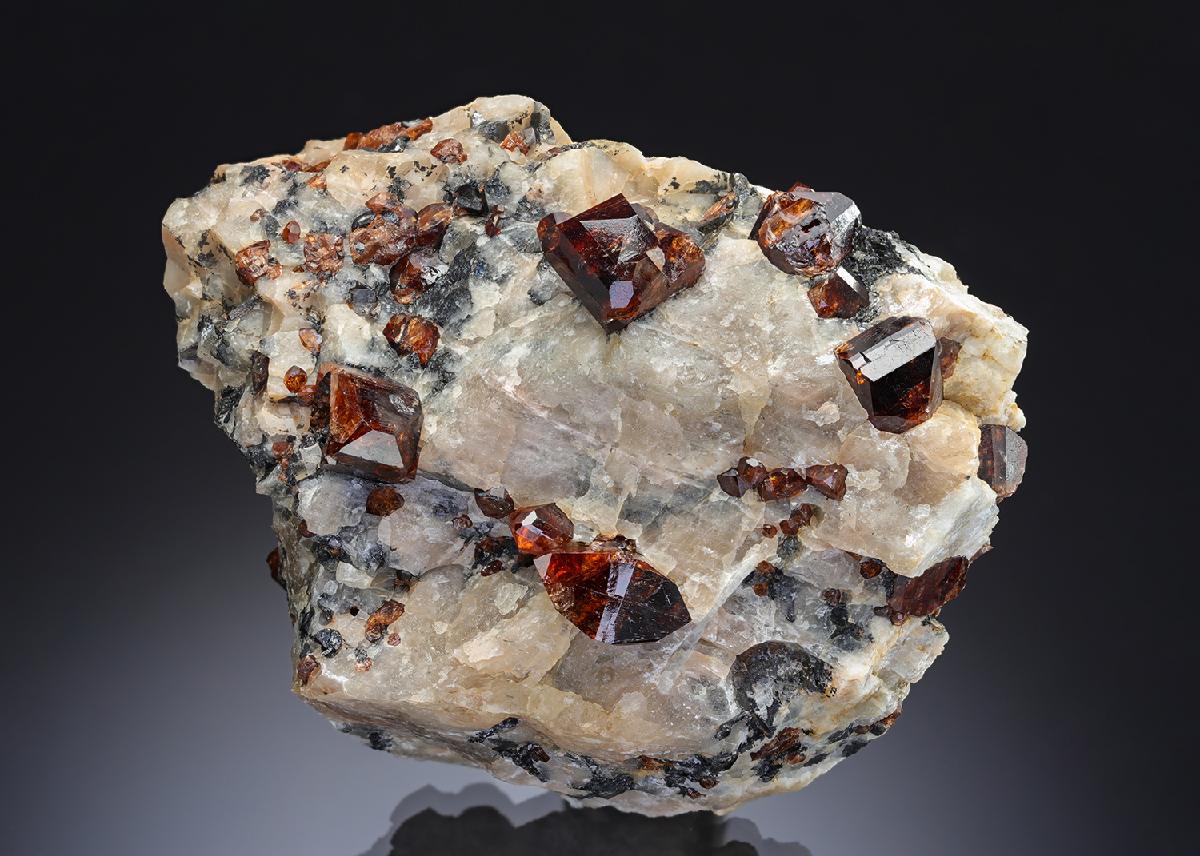 CC29507 specimen image