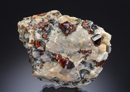 CC29507 specimen image