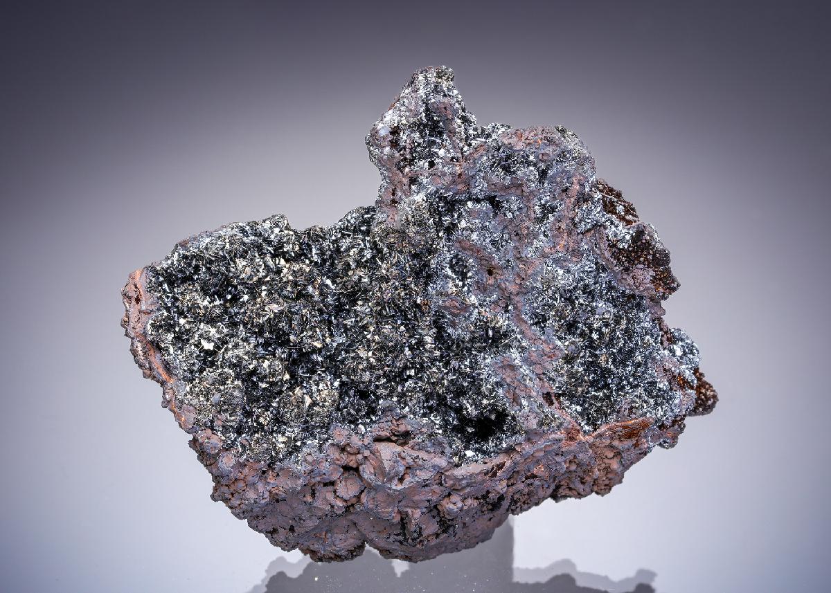 CC29535 specimen image