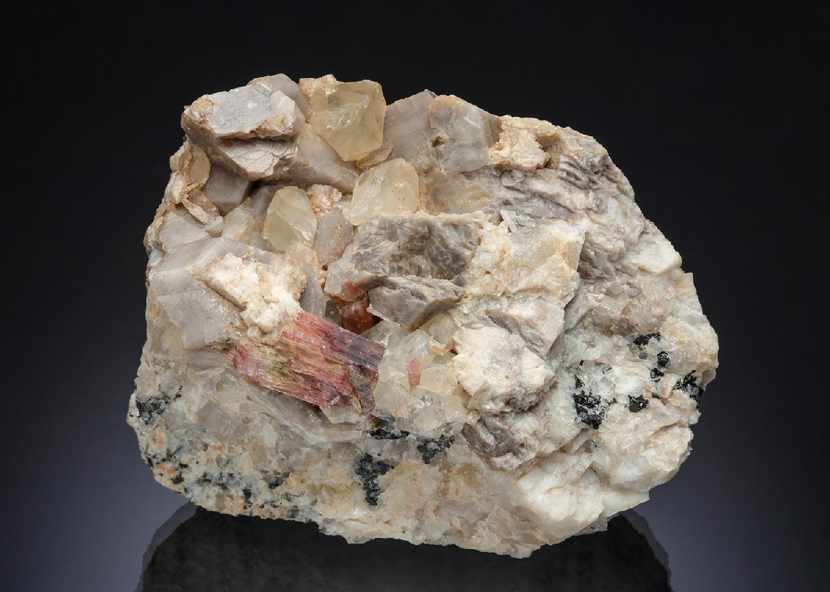 CC29539 specimen image