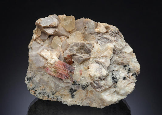 CC29539 specimen image