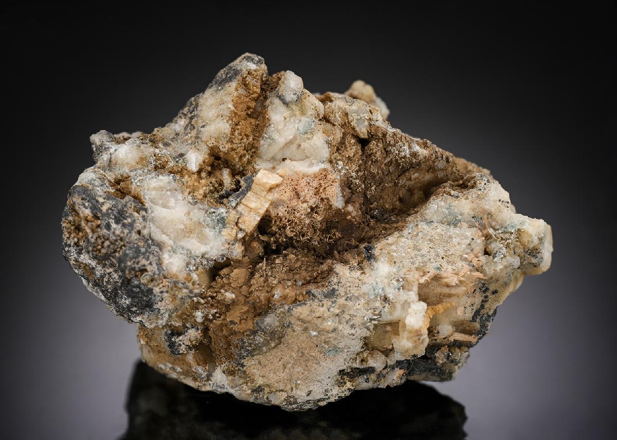 CC29555 specimen image