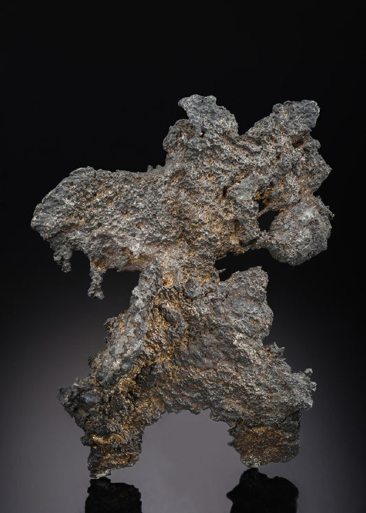 CC29565 specimen image