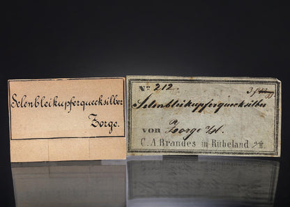CC29577 specimen image