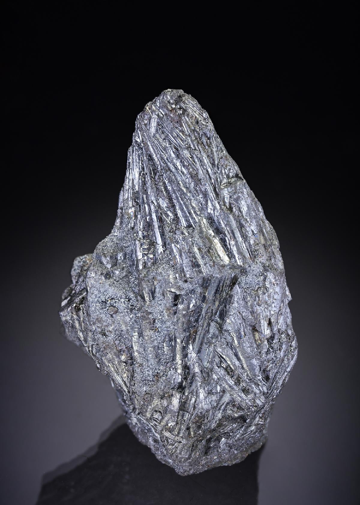 CC29593 specimen image