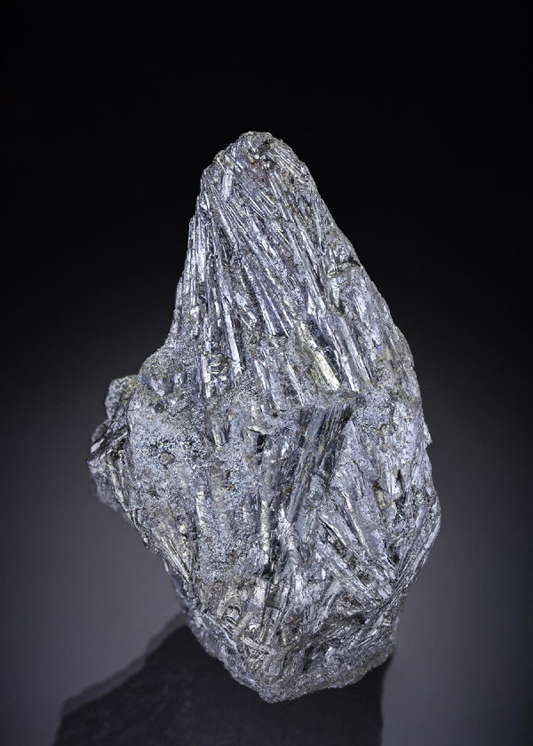 CC29593 specimen image