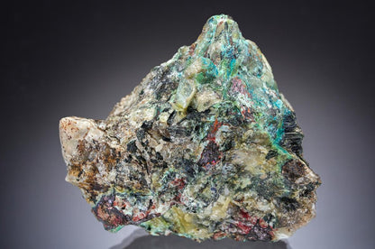 CC29601 specimen image