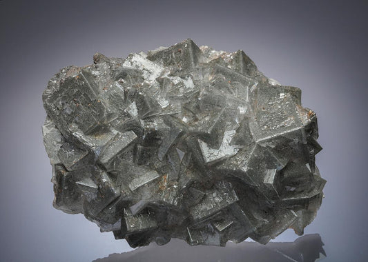 CC29619 specimen image