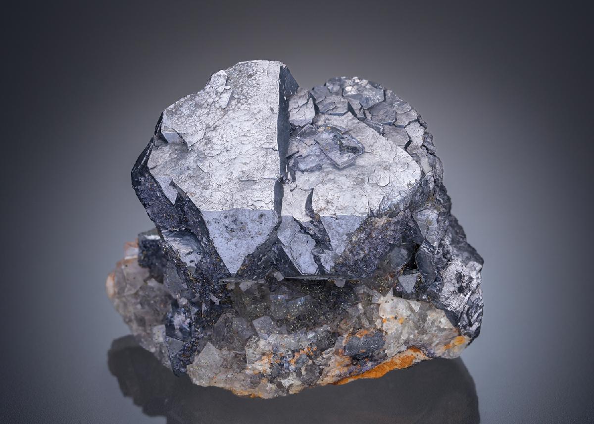CC29637 specimen image