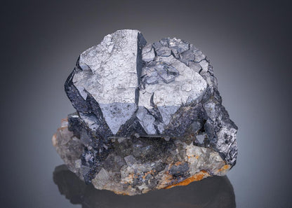 CC29637 specimen image