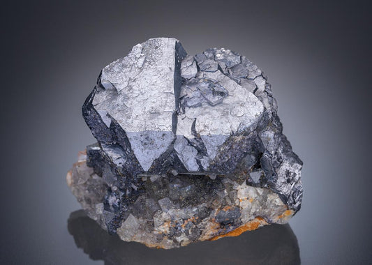 CC29637 specimen image
