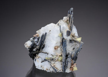 CC29669 specimen image