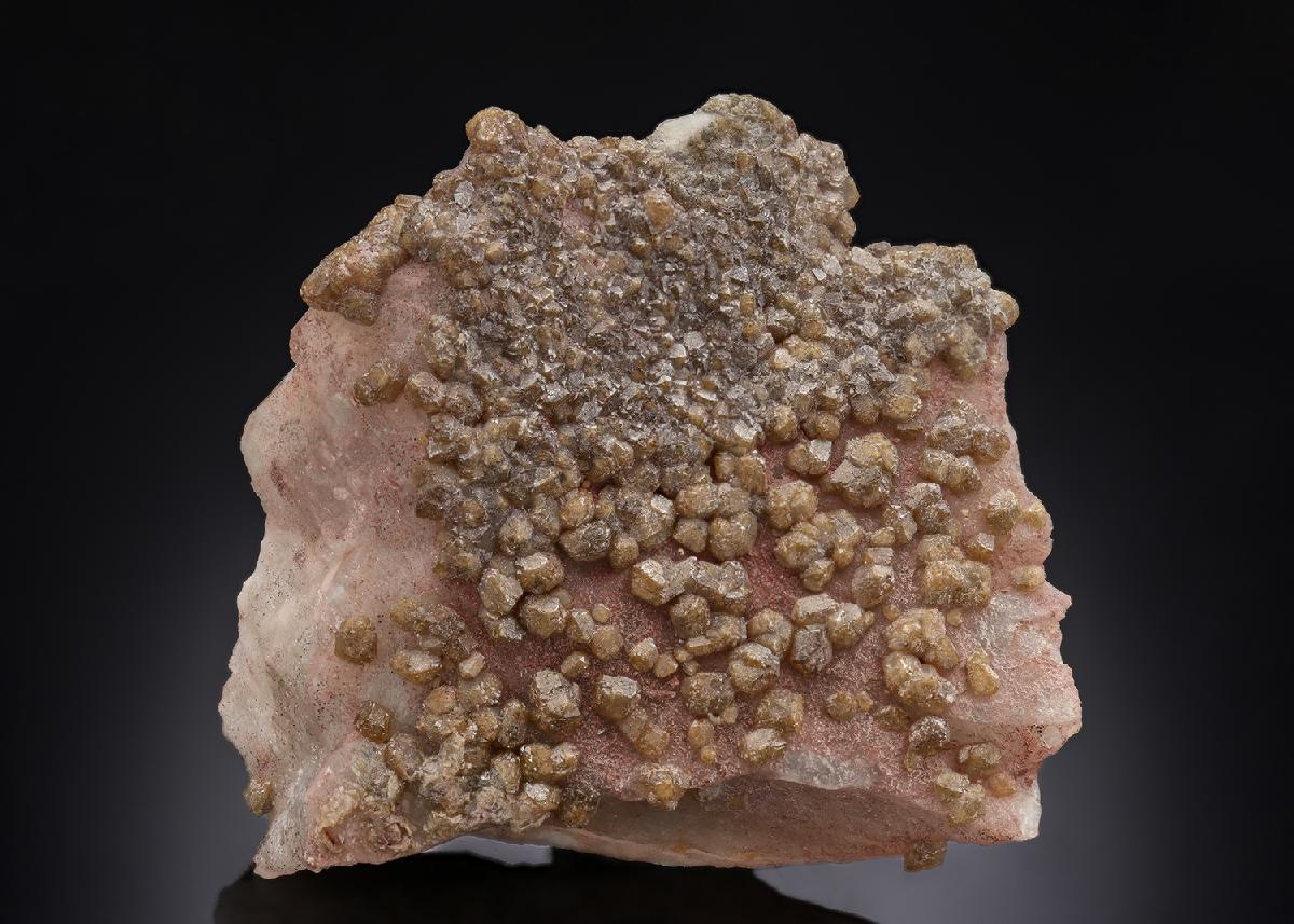 CC29685 specimen image