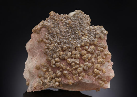 CC29685 specimen image