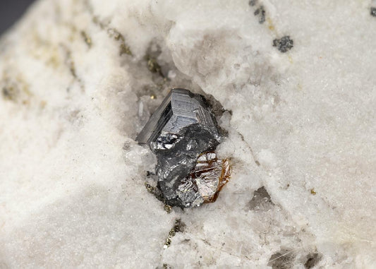 CC29695 specimen image