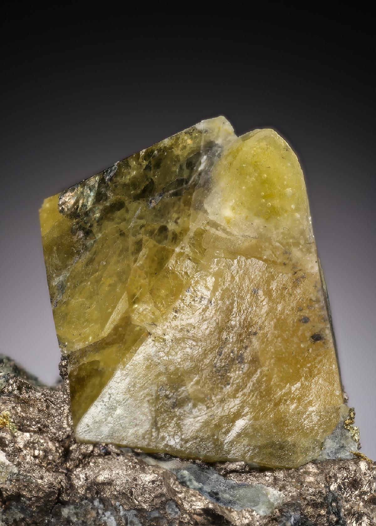 CC29697 specimen image